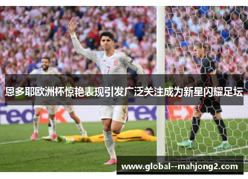 恩多耶欧洲杯惊艳表现引发广泛关注成为新星闪耀足坛